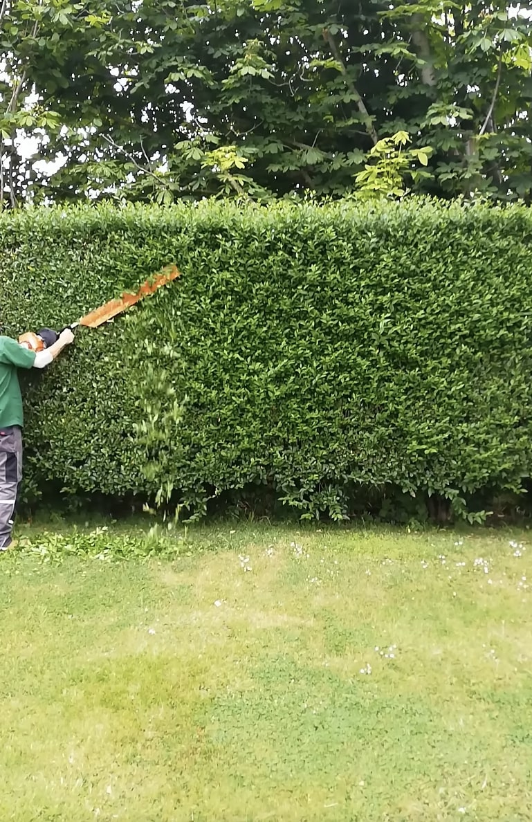 Shrub & Hedge Trimming service in Perth Amboy, NJ